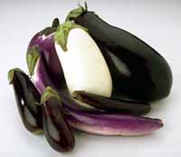 eggplant picture