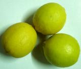 lemon picture