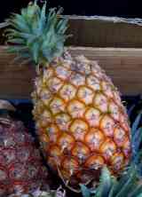 pineapple