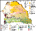 Vegetation map